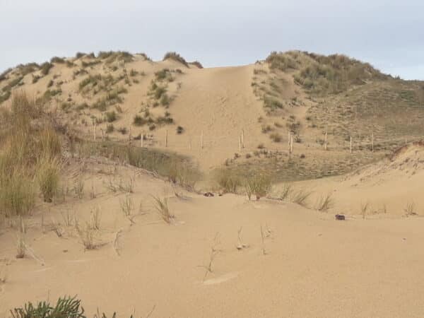 Dune1 - Grand Site de France Dunes Sauvages de Gâvres à Quiberon