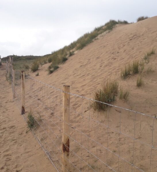 l dune3 - Grand Site de France Dunes Sauvages de Gâvres à Quiberon