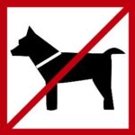 chiens interdits - Grand Site de France Dunes Sauvages de Gâvres à Quiberon