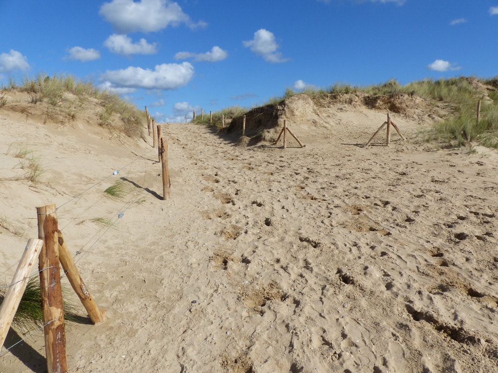 Protection de la dune