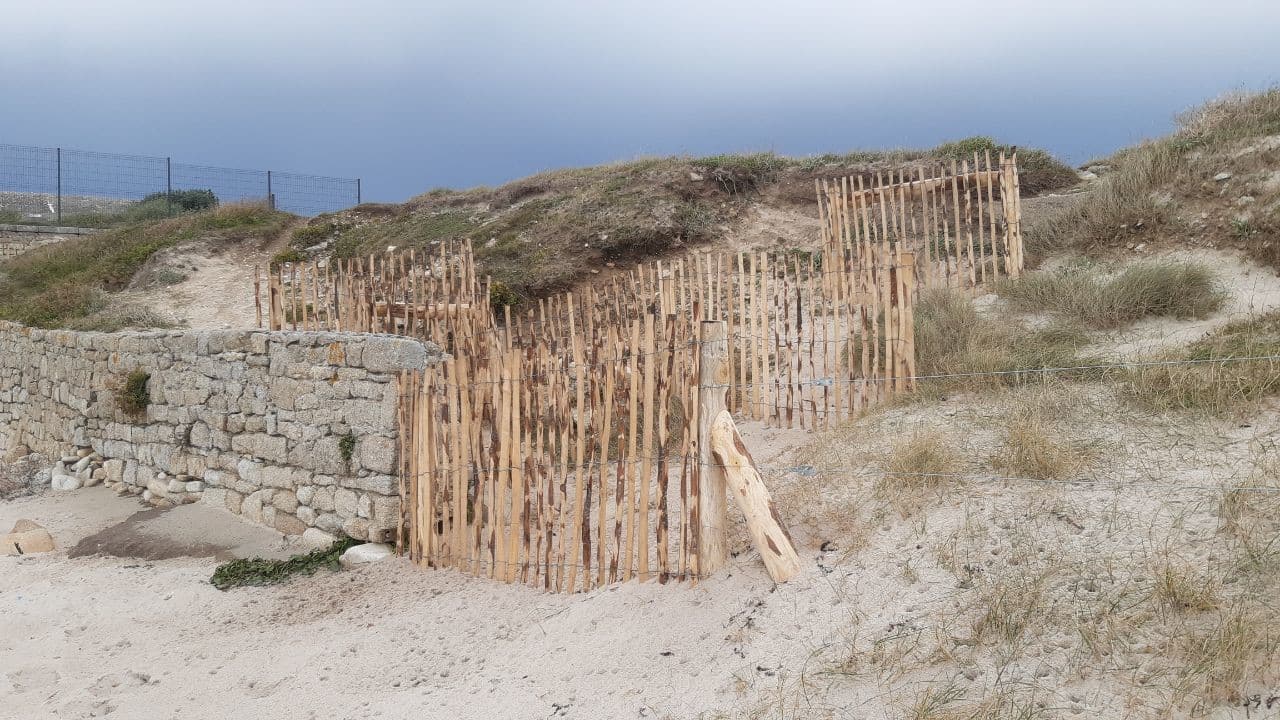 ganivelles dune porh puns - Grand Site de France Dunes Sauvages de Gâvres à Quiberon