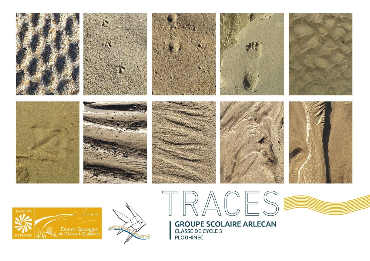 Affiches Traces - Grand Site de France Dunes Sauvages de Gâvres à Quiberon