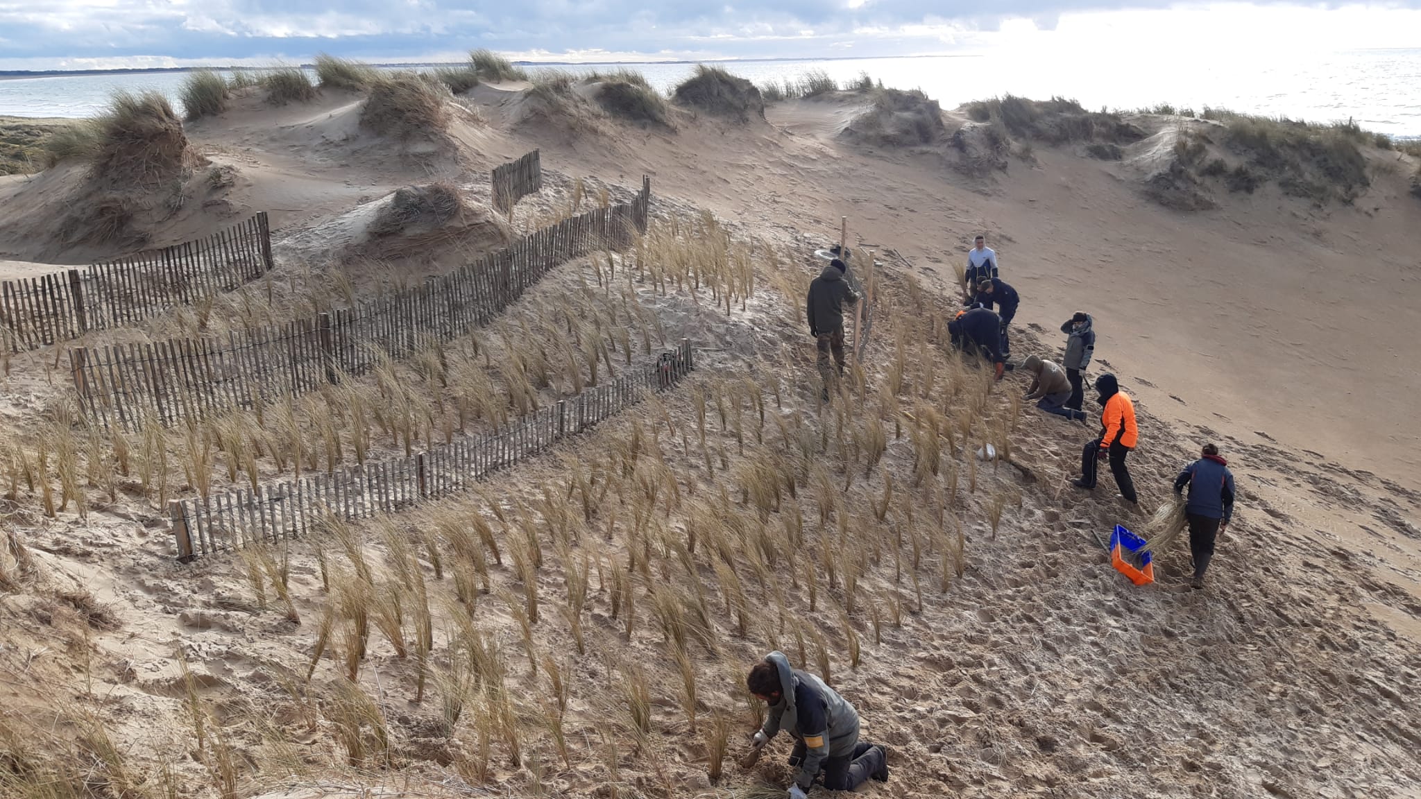 IMG 20211201 WA0006 - Grand Site de France Dunes Sauvages de Gâvres à Quiberon