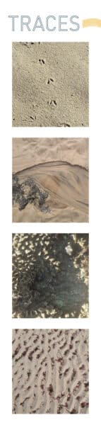 Marque pagesR1 - Grand Site de France Dunes Sauvages de Gâvres à Quiberon