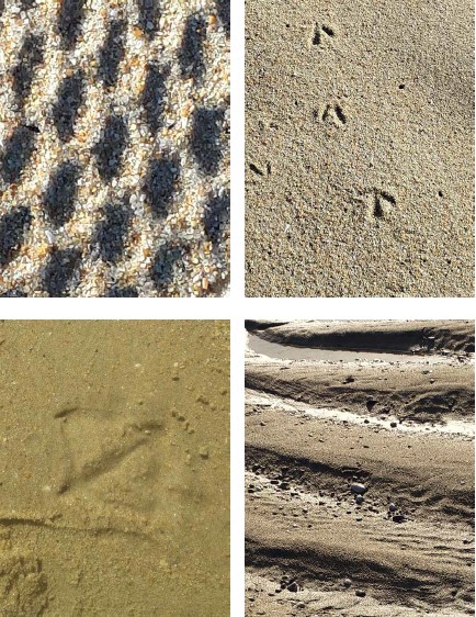 Traces grand site de france dunes sauvages de g vres quiberon