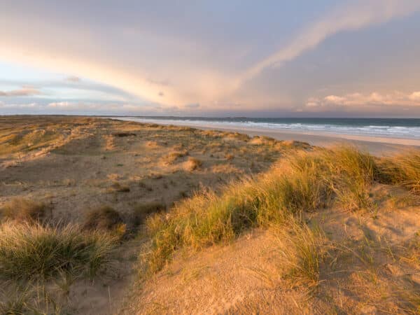Dunes 2919 - Grand Site de France Dunes Sauvages de Gâvres à Quiberon