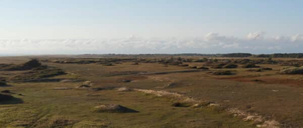 nos dunes sauvages y. chemin syndicat mixte du grand site ga╠evres quiberon. 1080p.mp4.00 17 42 23.Still040 - Grand Site de France Dunes Sauvages de Gâvres à Quiberon