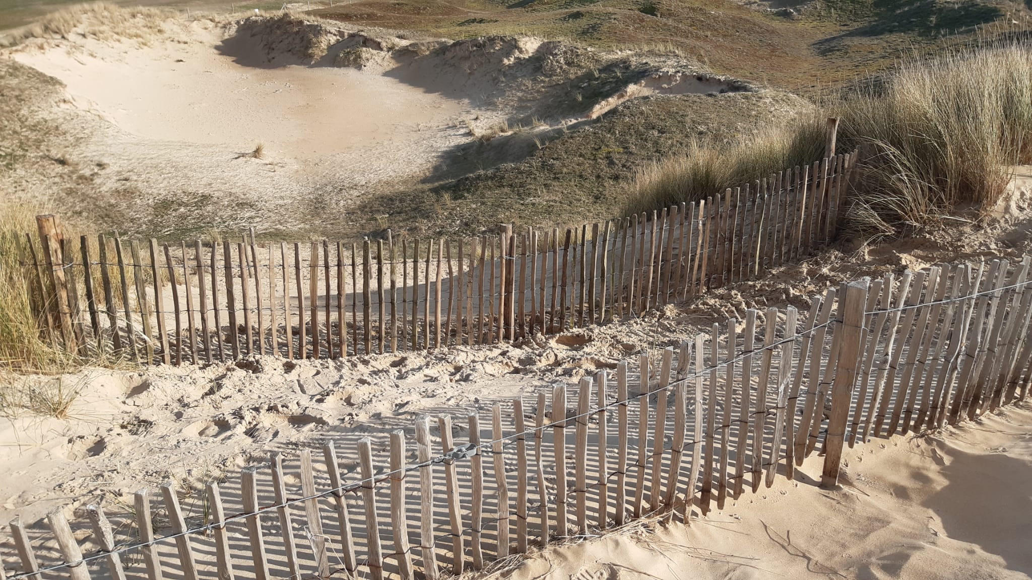 IMG 20230220 WA0002 - Grand Site de France Dunes Sauvages de Gâvres à Quiberon