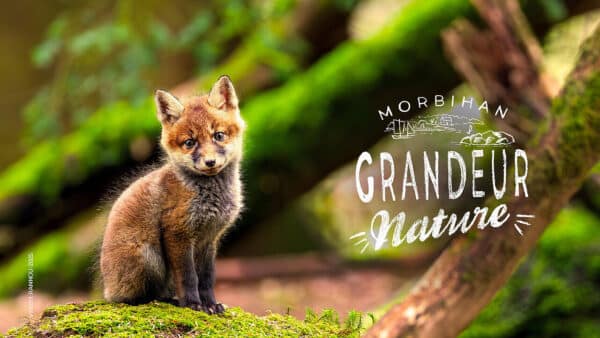 Programme grandeur nature 2025 - Grand Site de France Dunes Sauvages de Gâvres à Quiberon