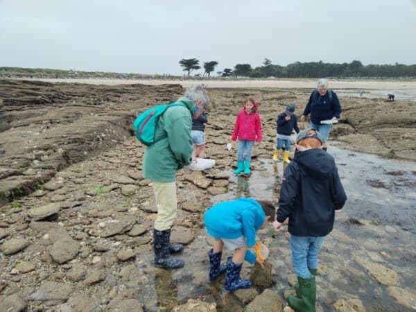 Mysteres estran 1 - Grand Site de France Dunes Sauvages de Gâvres à Quiberon