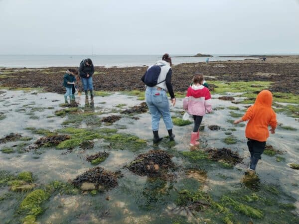 Mysteres estran 2 - Grand Site de France Dunes Sauvages de Gâvres à Quiberon