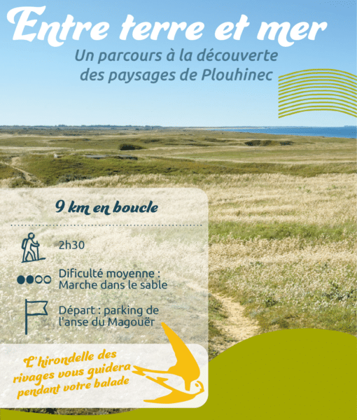 image acceuil Plan de travail 1 Copie - Grand Site de France Dunes Sauvages de Gâvres à Quiberon