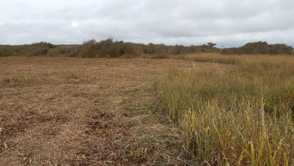 4e9acc20 d65c 43af bba2 7cf0e7500801 - Grand Site de France Dunes Sauvages de Gâvres à Quiberon