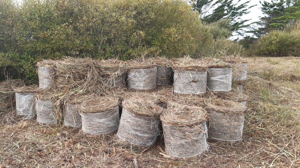 Chantier de gestion écologique de la zone humide à Plouhinec