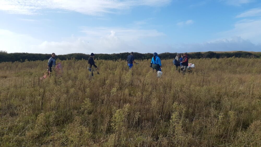 Operation de fauche a Plouhinec 6 - Grand Site de France Dunes Sauvages de Gâvres à Quiberon