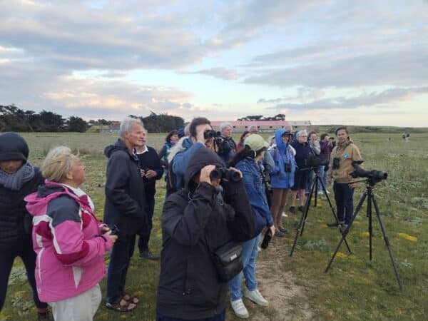Observation soleil couchant - Grand Site de France Dunes Sauvages de Gâvres à Quiberon