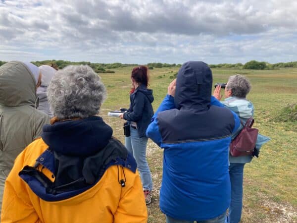23.04 traces guerre dunes 1 - Grand Site de France Dunes Sauvages de Gâvres à Quiberon