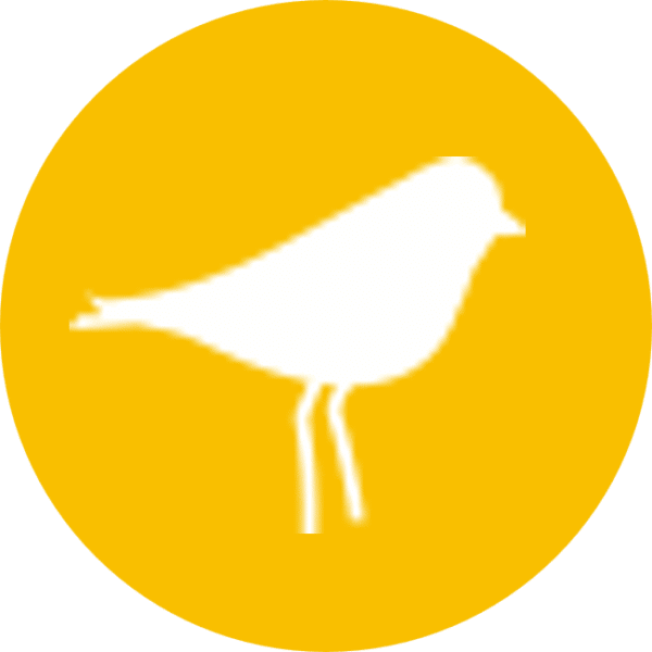 oiseau - Grand Site de France Dunes Sauvages de Gâvres à Quiberon