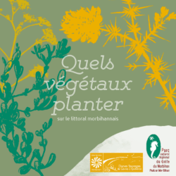 guide quels végétaux planter