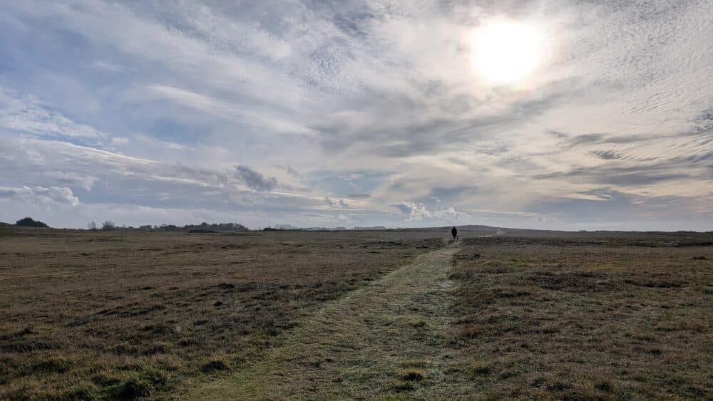 PXL 20260119 105109897 - Grand Site de France Dunes Sauvages de Gâvres à Quiberon