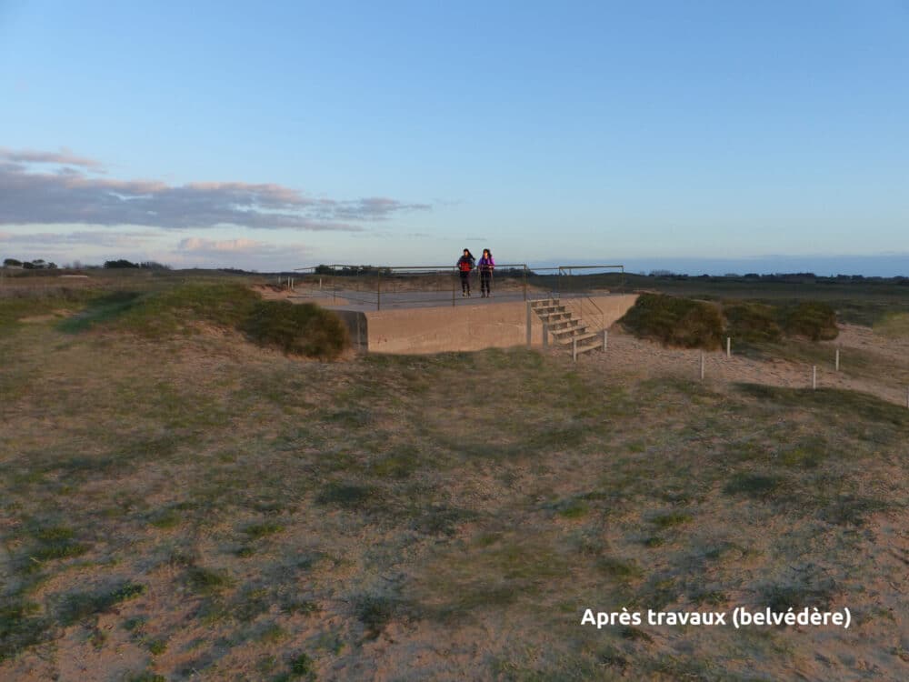integration belvedere sd 1 - Grand Site de France Dunes Sauvages de Gâvres à Quiberon