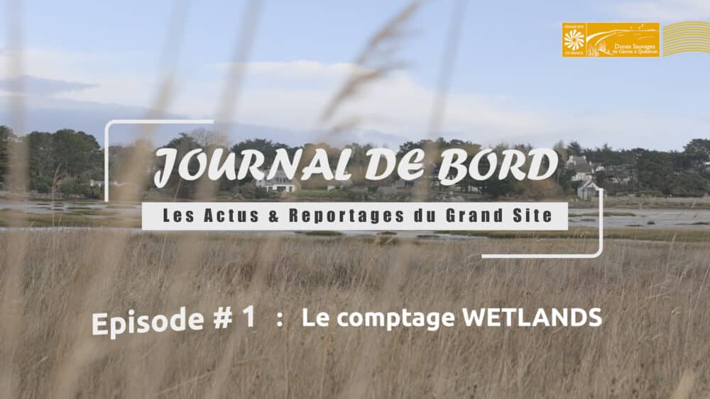 miniature 1 - Grand Site de France Dunes Sauvages de Gâvres à Quiberon