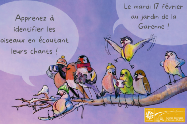 Affiche 17 fevrier 1 - Grand Site de France Dunes Sauvages de Gâvres à Quiberon