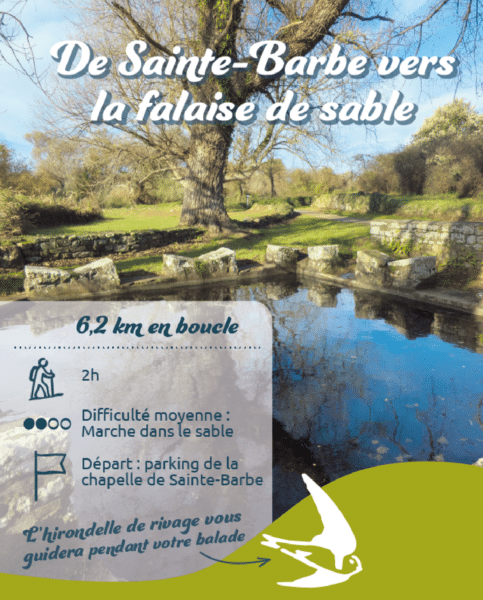 images pour web Copie - Grand Site de France Dunes Sauvages de Gâvres à Quiberon