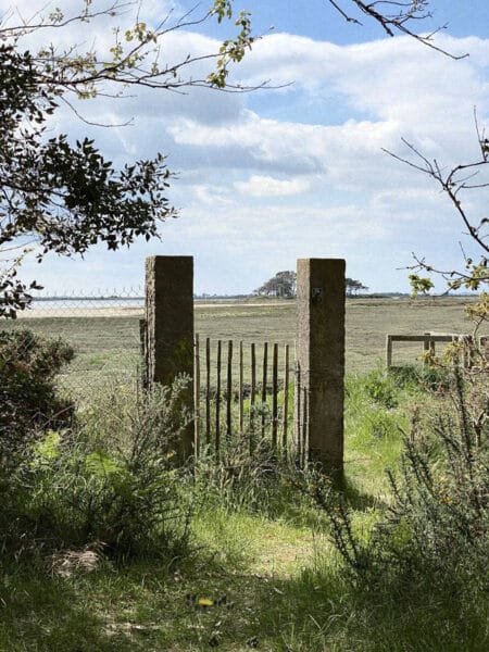 Visite du Jardin de Germaine Tillion et observation des oiseaux@enora floch - Grand Site de France Dunes Sauvages de Gâvres à Quiberon