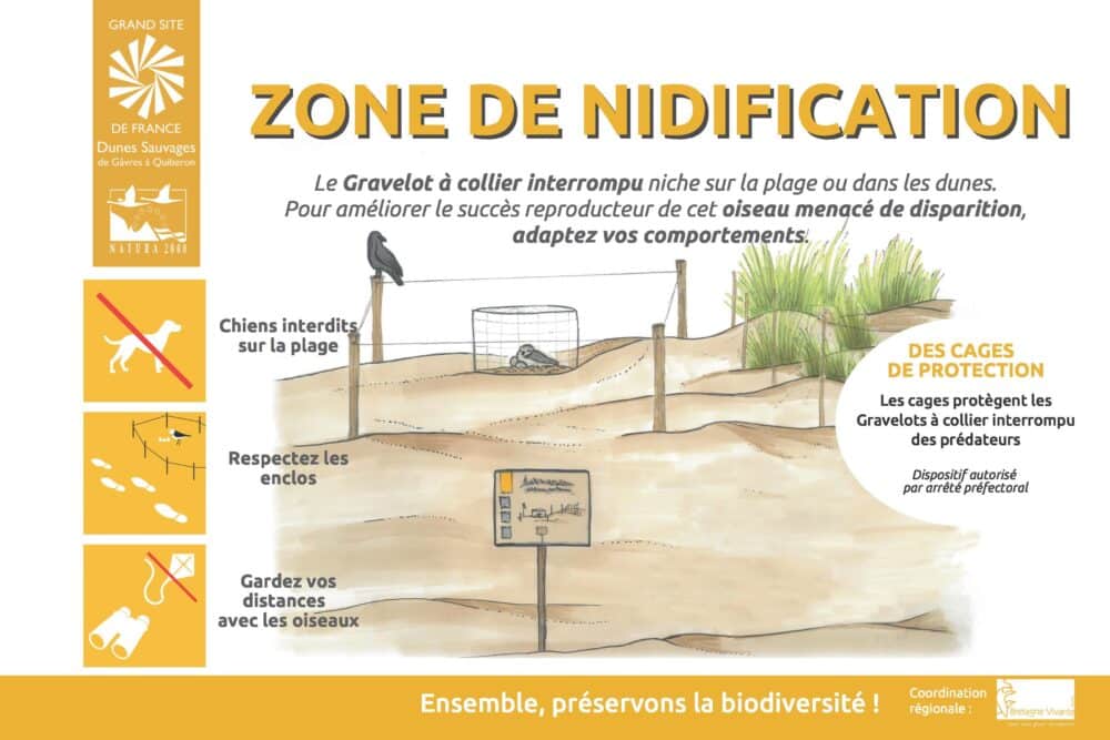 gci cages chiens interdits2 - Grand Site de France Dunes Sauvages de Gâvres à Quiberon