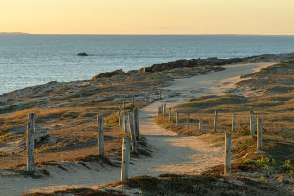 Flore et papillons des dunes perchées de Port Bara 1 StPierreQuiberon17218 - Grand Site de France Dunes Sauvages de Gâvres à Quiberon