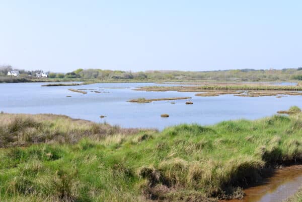 DSC 2172 - Grand Site de France Dunes Sauvages de Gâvres à Quiberon