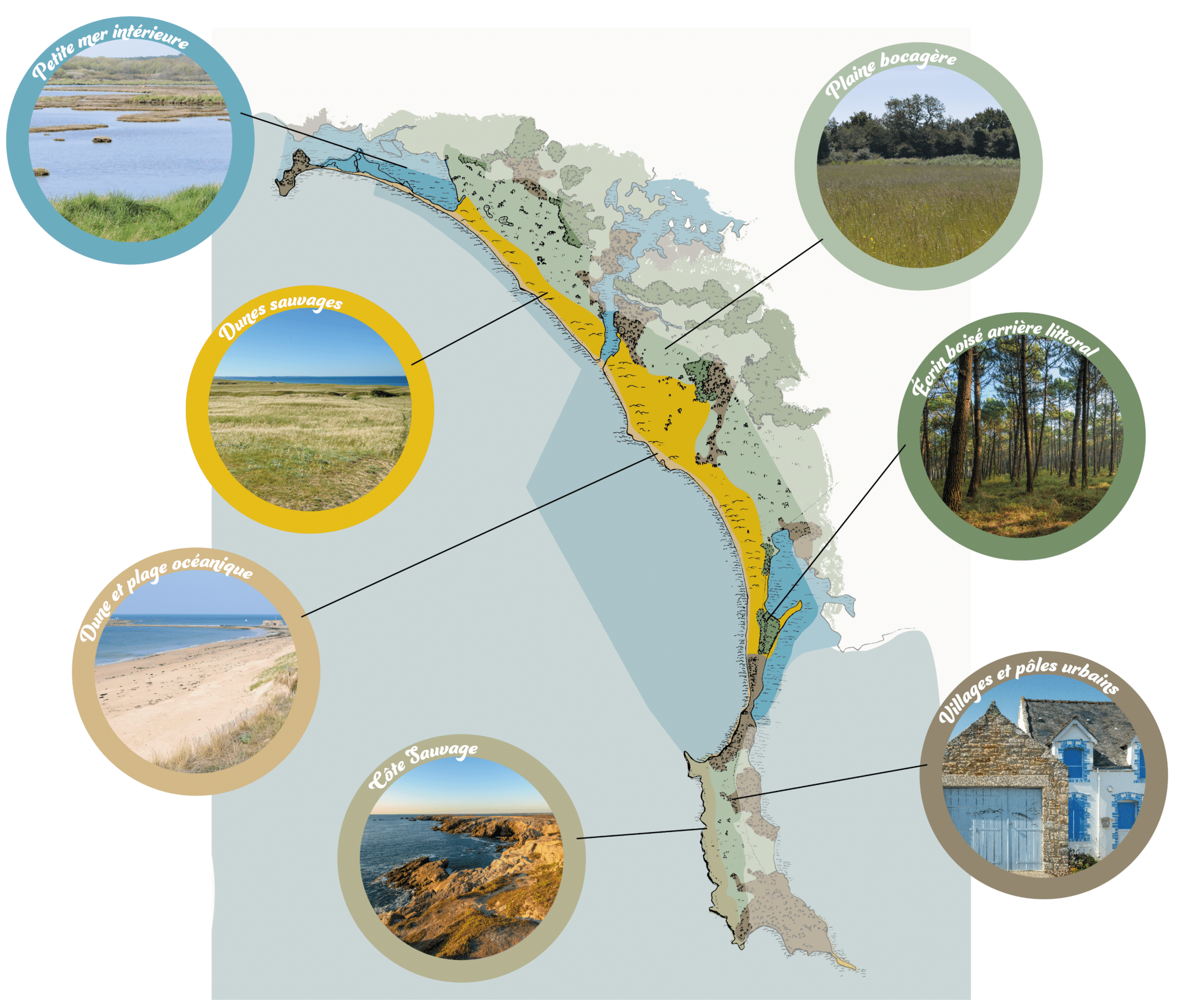 carte up dessinee bulles 1 scaled - Grand Site de France Dunes Sauvages de Gâvres à Quiberon